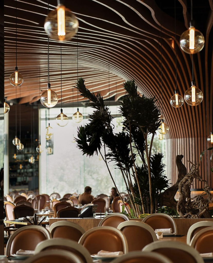 Screenshot 2024-11-13 at 11.51.55 AM